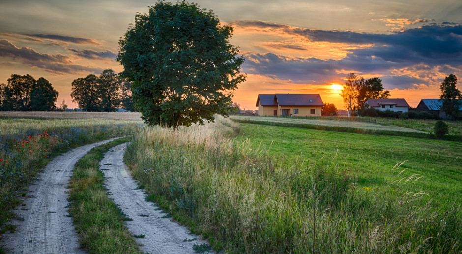 Ile Gospodarstw Rolnych W Polsce Jaka Jest Struktura Gospodarstw