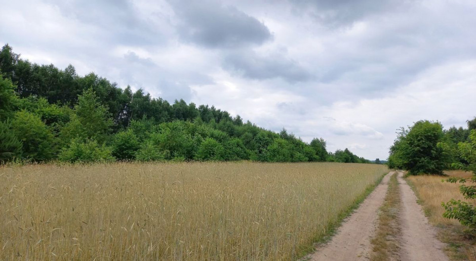 Rząd ma przyjąć projekt noweli ustawy o gospodarowaniu nieruchomościami