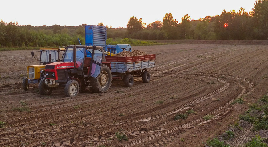 10 hektarów bez pługa. Ten rolnik udowadnia, że ta uprawa jest nie tylko dla dużych